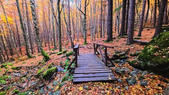 Sofia, Bulgaria - 10.20.2025. Wooden bridge over a mountain stream in the autumn forest of Vitosha Natural Reserve. Peaceful fall scenery with bright foliage, rocks, and flowing water.
