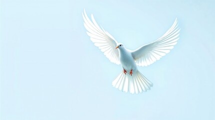 Obraz premium A white dove flying with wings spread wide against a blue sky. Symbol of peace, hope, freedom, and the holy spirit. Isolated background with copy space for text