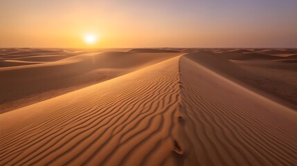 sunset in the desert