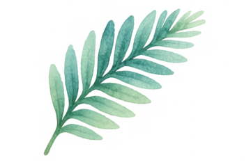 Watercolor green plant leaf creating organic nature botanical design element with transparent background