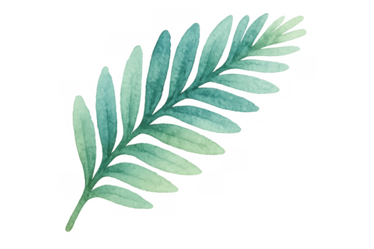 Watercolor green plant leaf creating organic nature botanical design element with transparent background