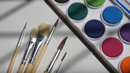 Paint brushes and watercolor paints on a white background with shadows