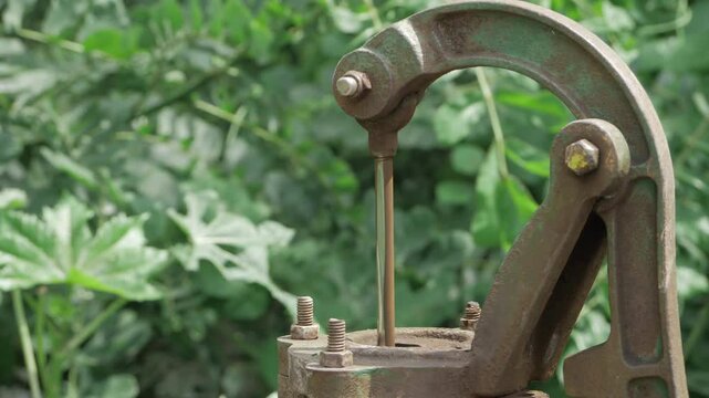Unleash the Power of Your Garden with Efficient Hand Pumps