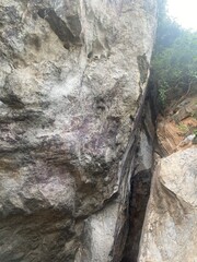 Rock climber scaling a textured mountain rock surrounded by nature