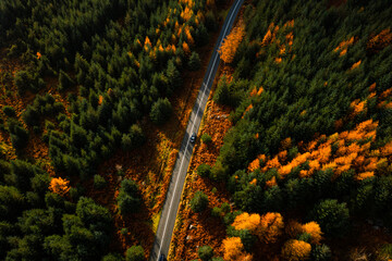 Top down aerial view of a car driving through autumn colour forest, casting long shadows in the Wicklow Mountains