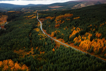 Scenic aerial view of a winding mountain road with cars surrounded by autumn forest colours in Wicklow, Ireland.