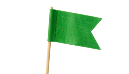 A small green flag on a transparent background