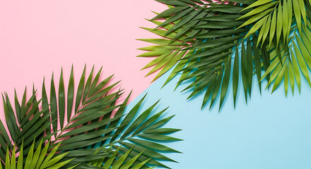 Vibrant Tropical Palm Leaves on Dual Pink and Blue Background, Summer Vacation Concept