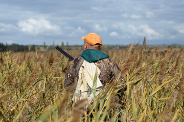 A hunter with a gun in camouflage clothing. A gentleman with a gun, medium shot, unrecognizable.