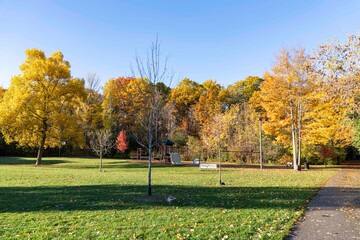autumn fall leaves in rouge forest toronto Canada October November