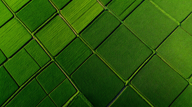Aerial view of vibrant green fields creates a geometric tapestry of agriculture. Lush textures and patterns showcase the artistry in cultivated land, offering a unique view. - Powered by Adobe