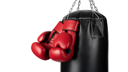 Red Boxing Gloves Power Punch