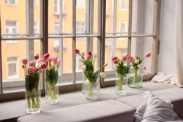 Warm morning glow highlighting delicate tulip bouquets by window
