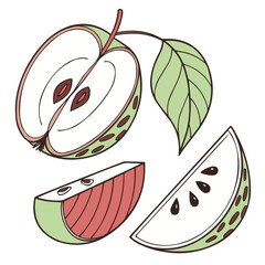 Vector illustration of a fresh, sweet, and healthy slice of apple with a leaf, perfect as a food or fruit icon.