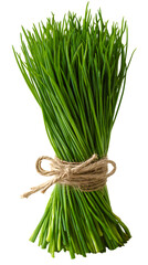 Fresh chives tied with twine isolated on transparent background, a flavorful herb
