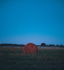 bales of hay © david