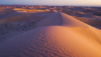 Golden sand dunes in the desert at sunset with soft light