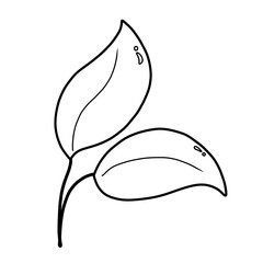 Leaf 