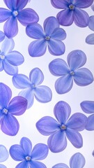 Obraz premium Macro Backlit Periwinkle and Indigo Flowers Floating on White Background, Delicate Abstract Botanical Pattern