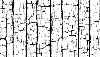 Abstract black and white closeup of weathered wood with radial cracks texture. Black and white wood cracks texture on a transparent background.