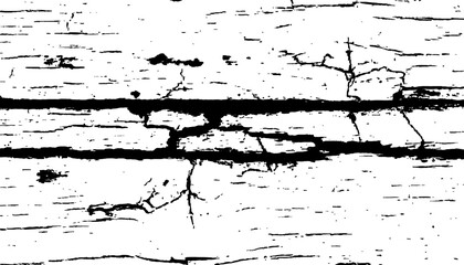 Abstract black and white closeup of weathered wood with radial cracks texture. Black and white wood cracks texture on a transparent background.