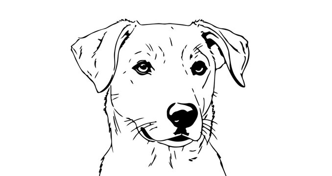 Illustration of a dog with floppy ears and a black nose