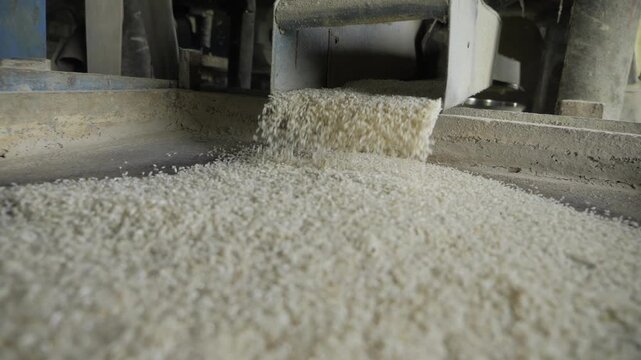 Automated Rice Milling Process - Efficient Production with Advanced Technology