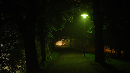 fog in the night park 