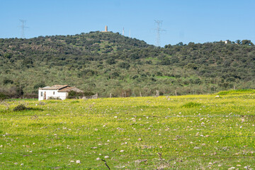 Un paisaje de campo con un barbecho es un espacio de reposo y regeneraci&oacute;n, Aunque pueda parecer abandonado, guarda una riqueza silenciosa que conecta con la historia agr&iacute;cola y ecologica,