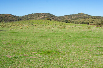 Un paisaje de campo con un barbecho es un espacio de reposo y regeneraci&oacute;n, Aunque pueda parecer abandonado, guarda una riqueza silenciosa que conecta con la historia agr&iacute;cola y ecol&oacute;gica,
