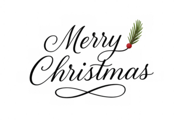 Merry christmas text with calligraphy lettering, evergreen pine branch, and red berry on transparent background