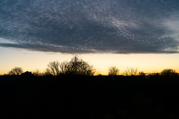Cloudy sky above sunset horizon with silhouettes of trees. Outdoor landscape photography. Evening sky and weather concept.