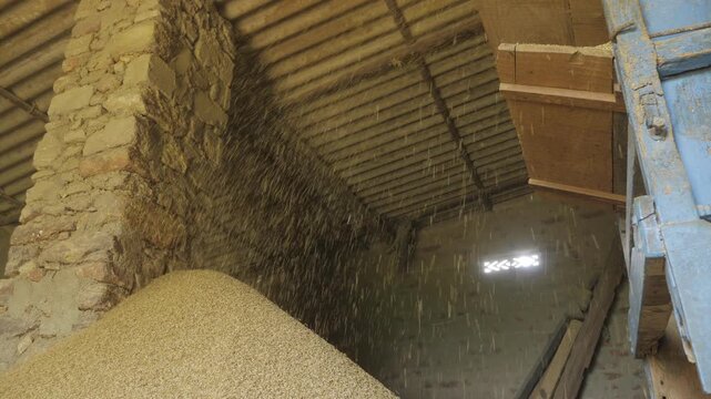 Unveiling the Heart of Rice Processing - The Indian Rice Mill