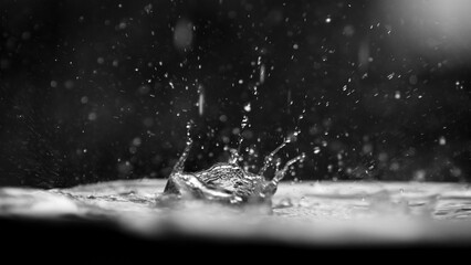 Ephemeral Impact: A dramatic monochrome capture of a water droplet's fleeting splash, illustrating the dynamic interaction of water and the forces of nature.