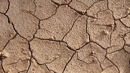 Cracked Earth: A close-up view of parched earth reveals a network of fissures, illustrating the effects of drought and environmental change.