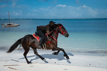 A man gallops on a horse on a Zanzibar beach.