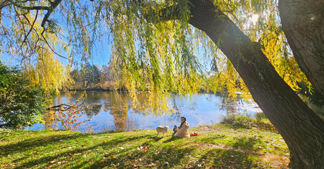 Frau mit ihrem Hund im herbstlichen Park