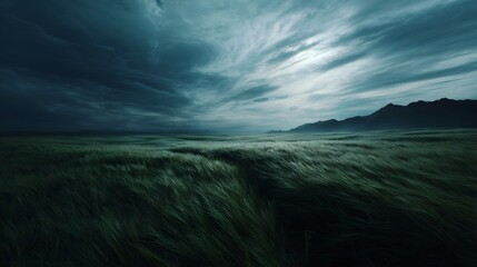 Dramatic stormy sky over a wind swept grassy field with distant mountains