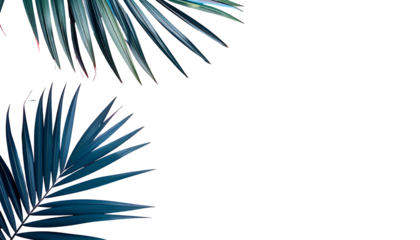 Two cyan palm fronds against a solid black background, minimalist and tropical