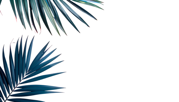 Two cyan palm fronds against a solid black background, minimalist and tropical