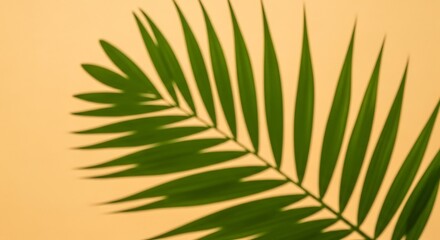 Green palm frond casting shadow on warm yellow background texture