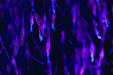 Neon depth glowing in darkness. Abstract purple light.