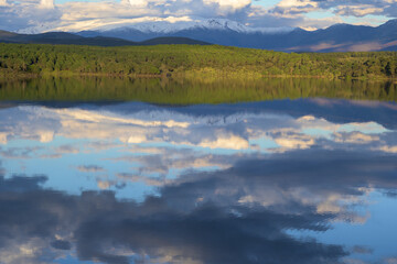Lake Reflection of Snowy Mountains and Pine Forest