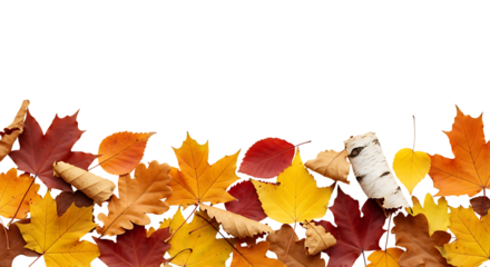 Autumn leaves border background in shades of red yellow and orange colors