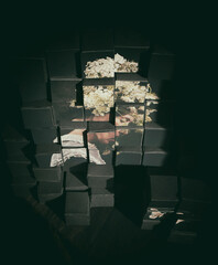 Fototapete bei efototapeten.de bestellen   