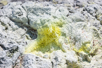 Sulfur deposit close up. Mendeleyev volcano. Kunashir. Russia