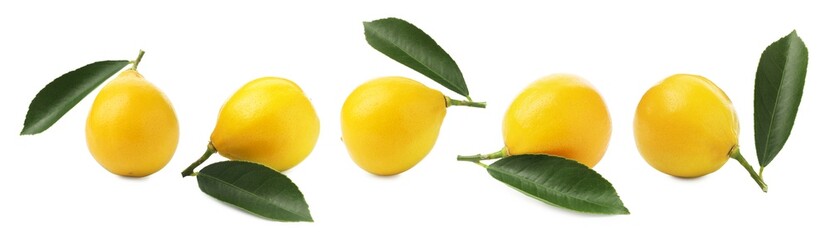 Fresh lemons isolated on white, set. Citrus fruit