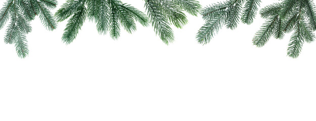 Christmas fir tree branches isolated on white