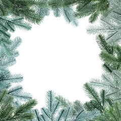 Christmas tree branches isolated on white. Greeting card or poster design