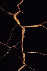 Elegant abstract image of black surface with golden veins of repaired cracks
